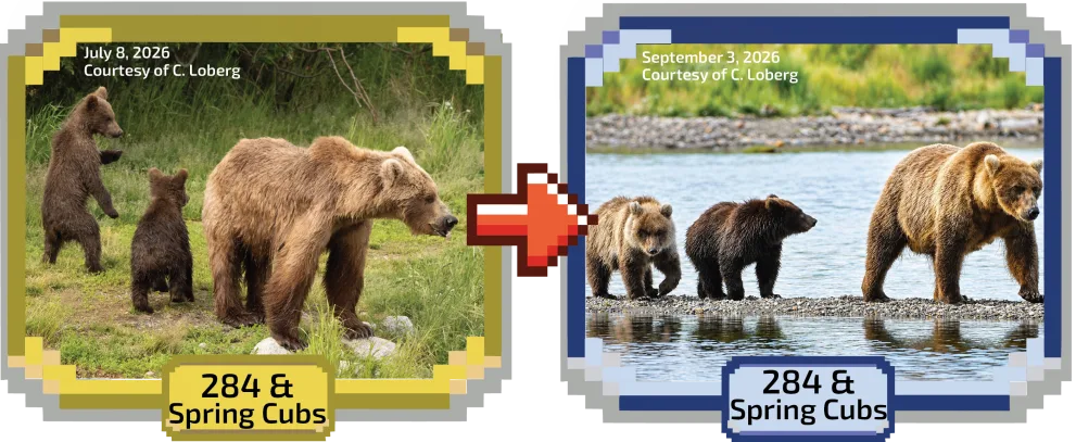 284 & Spring Cubs, photographed in July and again in September