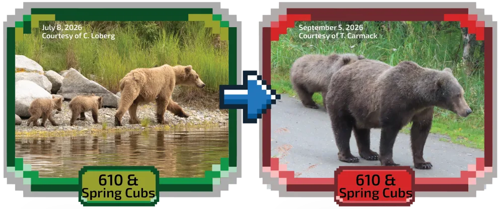 610 & Spring Cubs, photographed in July and again in September