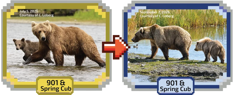 901 & Spring Cub, photographed in July and again in September